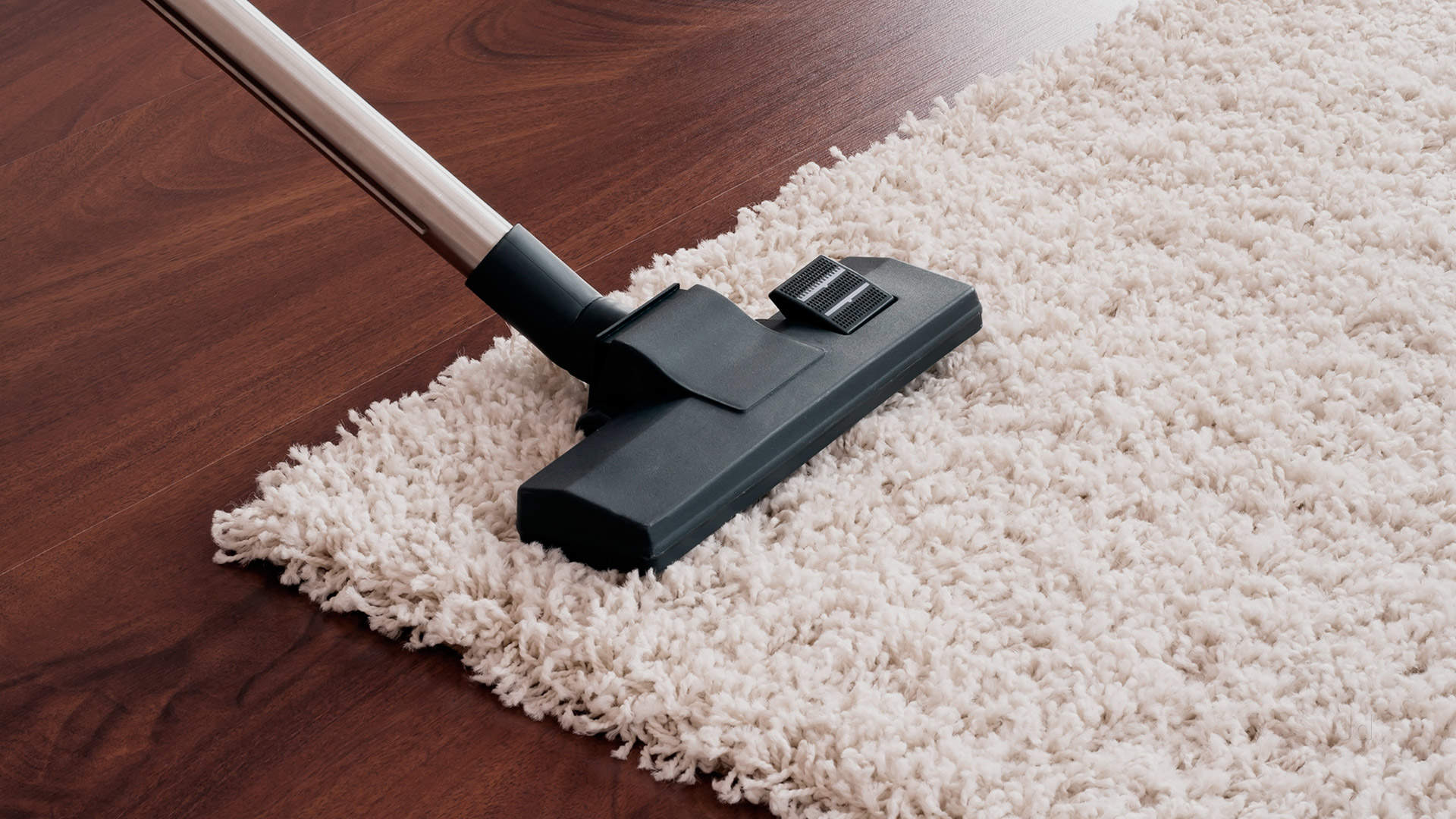 Carpet Cleaning