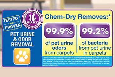 Chem-Dry – Pet Urine Removal Treatment Can Eliminate Pet Urine Odors Forever – P.U.R.T.